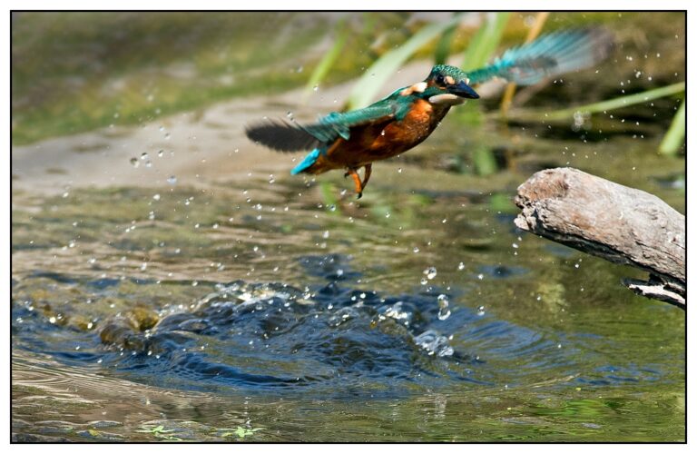 Water – Page 23 – Creating a better place