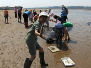 Local school children learn about their local beach