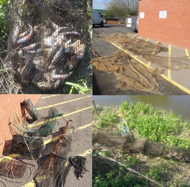 Illegal nets and traps that have been removed from the watercourse