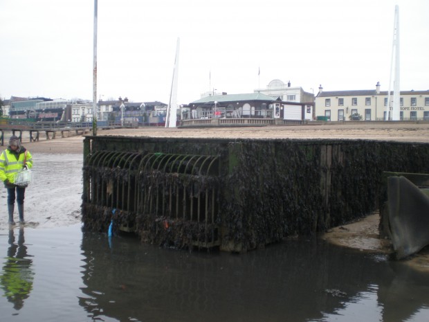 southend, essex, cleaner seas, bathing water, water, beach, swimming,