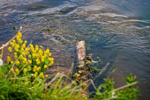 Deflector in Houghton Stream 