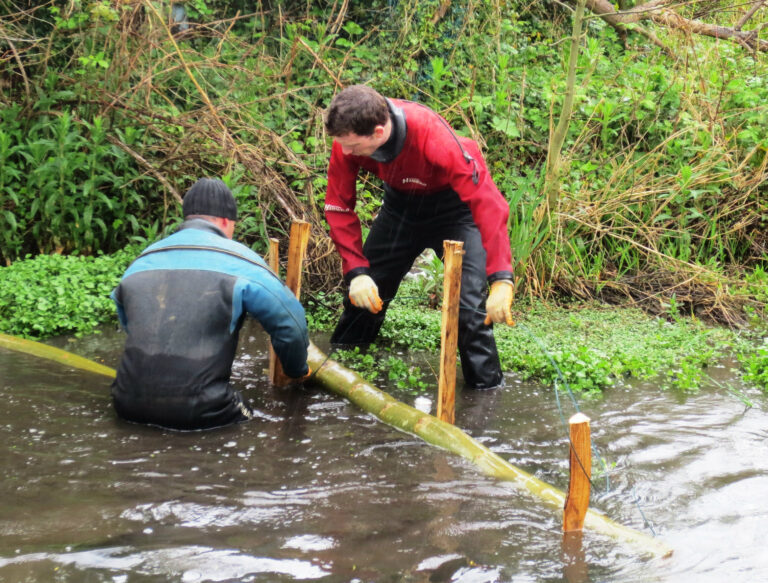 Providing the perfect home for fish in our rivers – Environment Agency ...