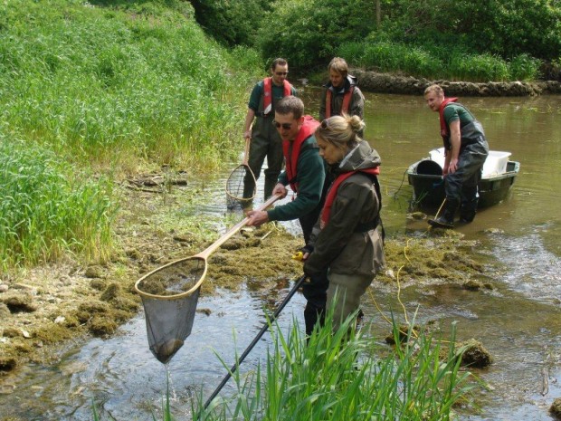 Our fisheries team rescues fish as the River Lathkill dries up