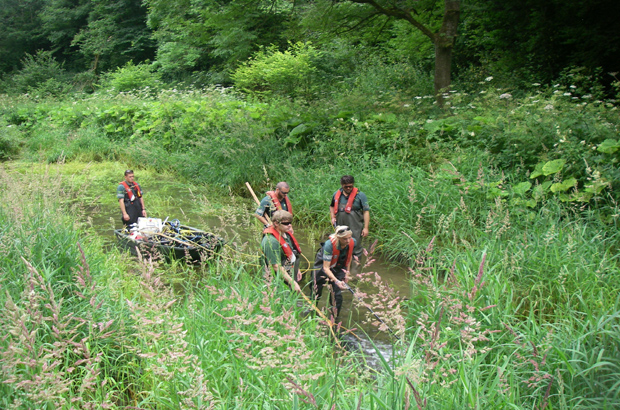 Fisheries team doing a fish rescue on the River Lathkill