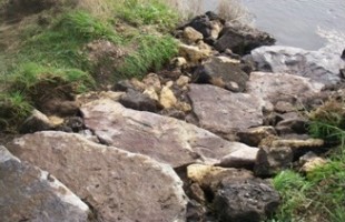 Fish pegs on the bank of a river for the use of anglers 