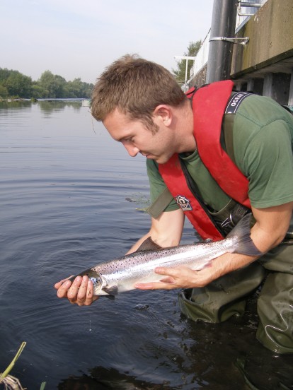 A new service allows salmon and sea trout anglers to submit their annual catch returns and time spent fishing online.