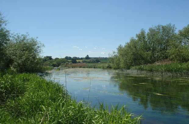 water-good-day-for-customers-and-the-environment-creating-a-better-place