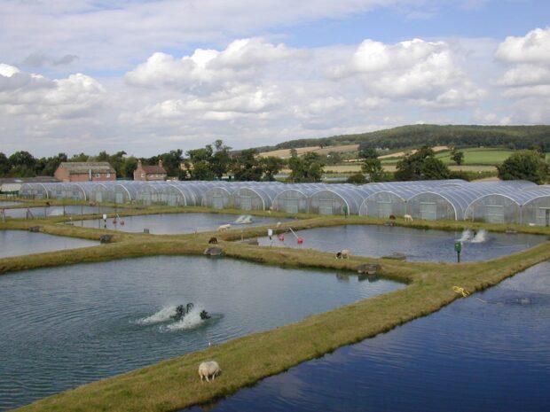 The National Coarse Fish Rearing Unit 