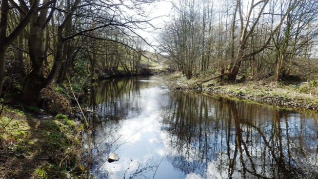 River Don Ward End weir upstream before removal