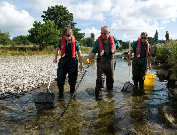 Three people walking through a river rescuing fish