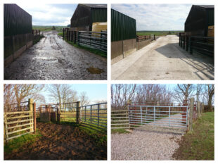 Collage of improvements made to farms and farm land by the Ellenwise project