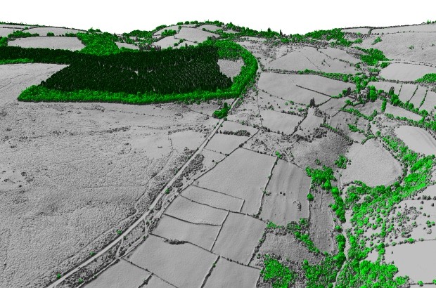 LIDAR forest