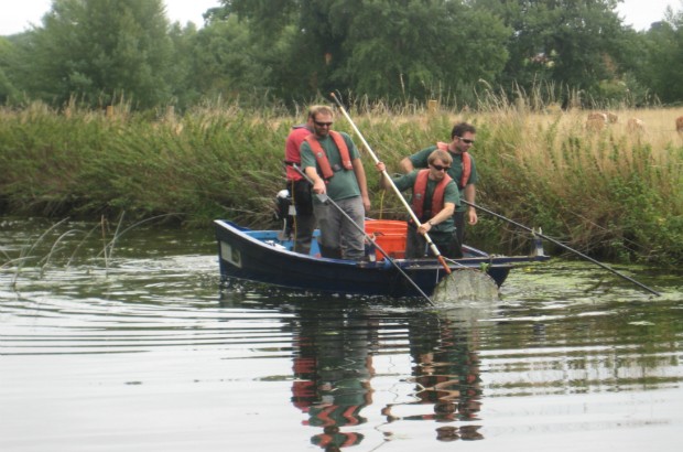 Dan Hayter and his team electrofishing 