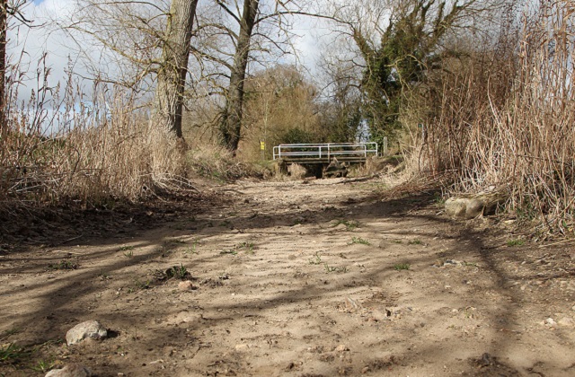 River Pang after the 2 driest years in the Thames region - Picture by Stewart Turkington