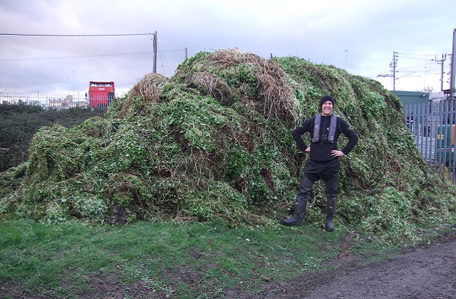 1 BenNorrington with pennywort