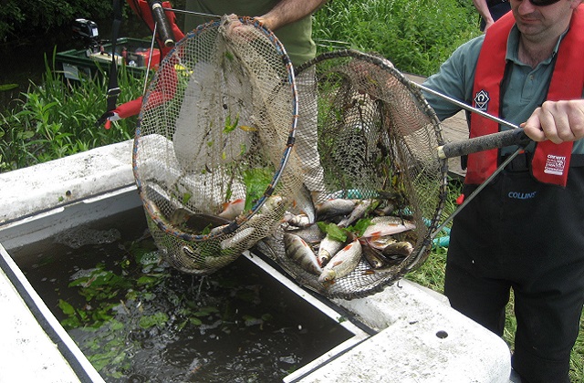 2012-06-20 Fish Rescue - Anglian Region (2)