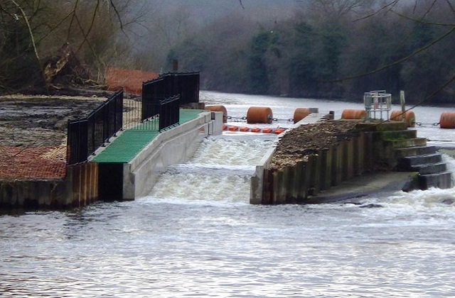 Fish pass