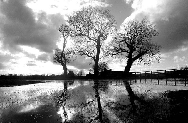 Flooded pasture Wiltshire