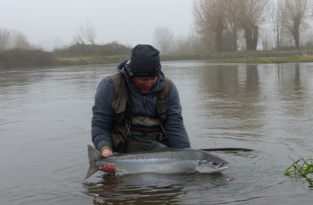 paul-greenacre-releasing-25lb-salmon-caught-on-fly-somerly-estate-river-avon-11-march-2016-2