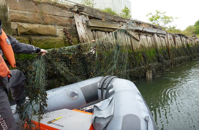 Illegal nets like this are removed