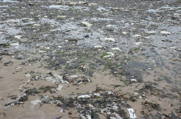 Pollution including ‘unflushables’ on a beach