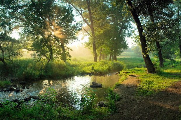 An unpolluted healthy river