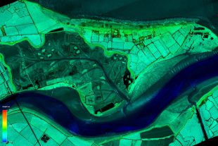 Lidar imagery of Steart Marshes, Bridgwater