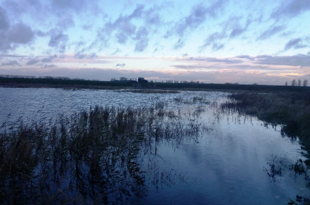 The Great Fens wetland at sunset