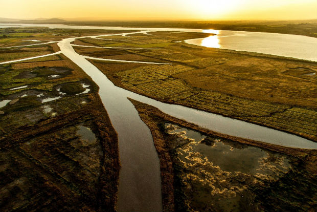 Image of natural flood management scheme