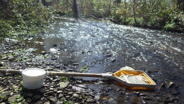 Anna Field - Ecological Monitoring Officer - Sheffield and Rotherham  Wildlife Trust