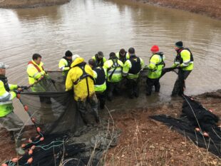 A group f EA staff in hi-vis gear standing in shallow water holding a fishing net with the shore and other nets in the foreground