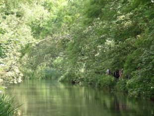 View of a river with overhanging trees. People can be seen standing on the bank in among the vegetation