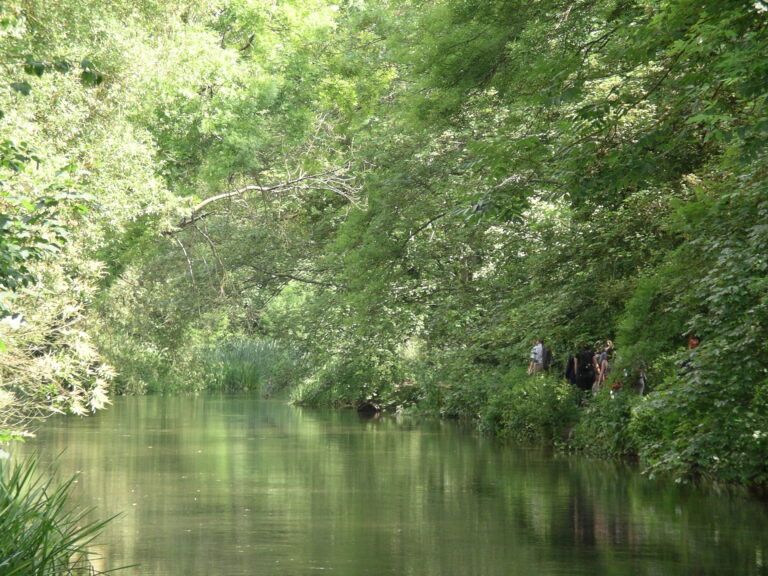 Protecting chalk streams Creating a better place