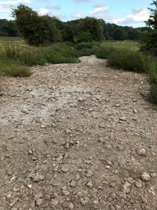 A dry stream bed with vegetation in the background