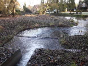 An image of a new fish pass in a shallow stream, located West of London