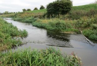 An image of deflectors, installed in a river to increase flow diversity and clean grovels, as well as to provide fish habitat.