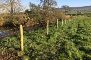 An image of fencing alongside a river in Cumbria, which prevents cattle poaching and improves fish habitats