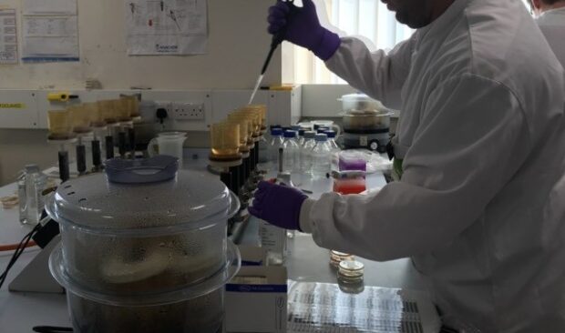 Picture of Environment Agency scientist using pipette in laboratory