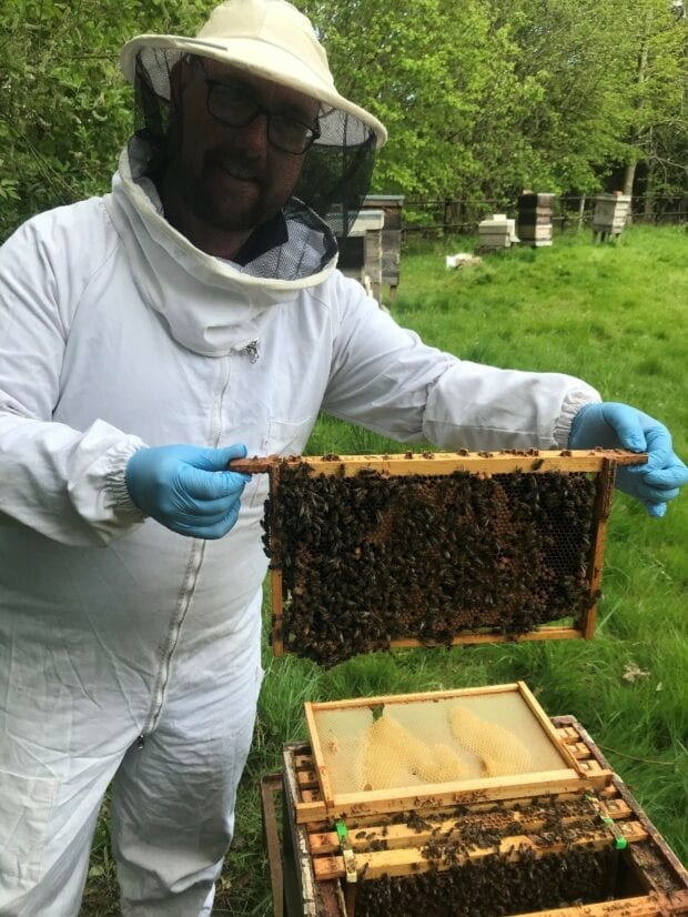 An Environment Agency officer in a bee keeping suit holding a section of his bee hive.