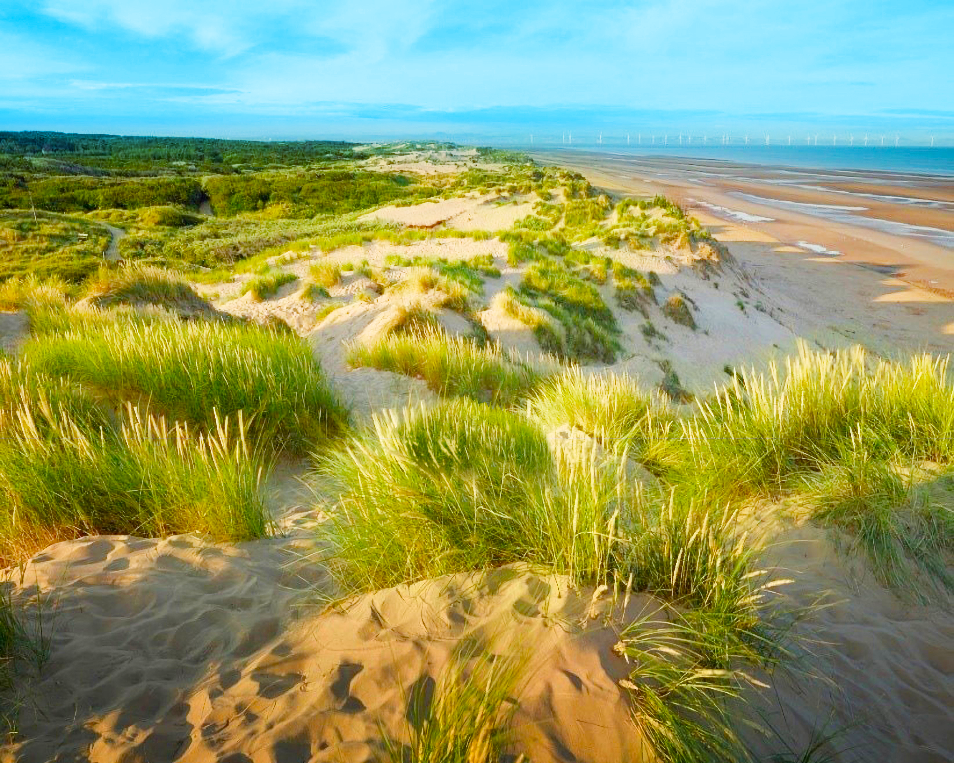 Coastal NNBF Dune System