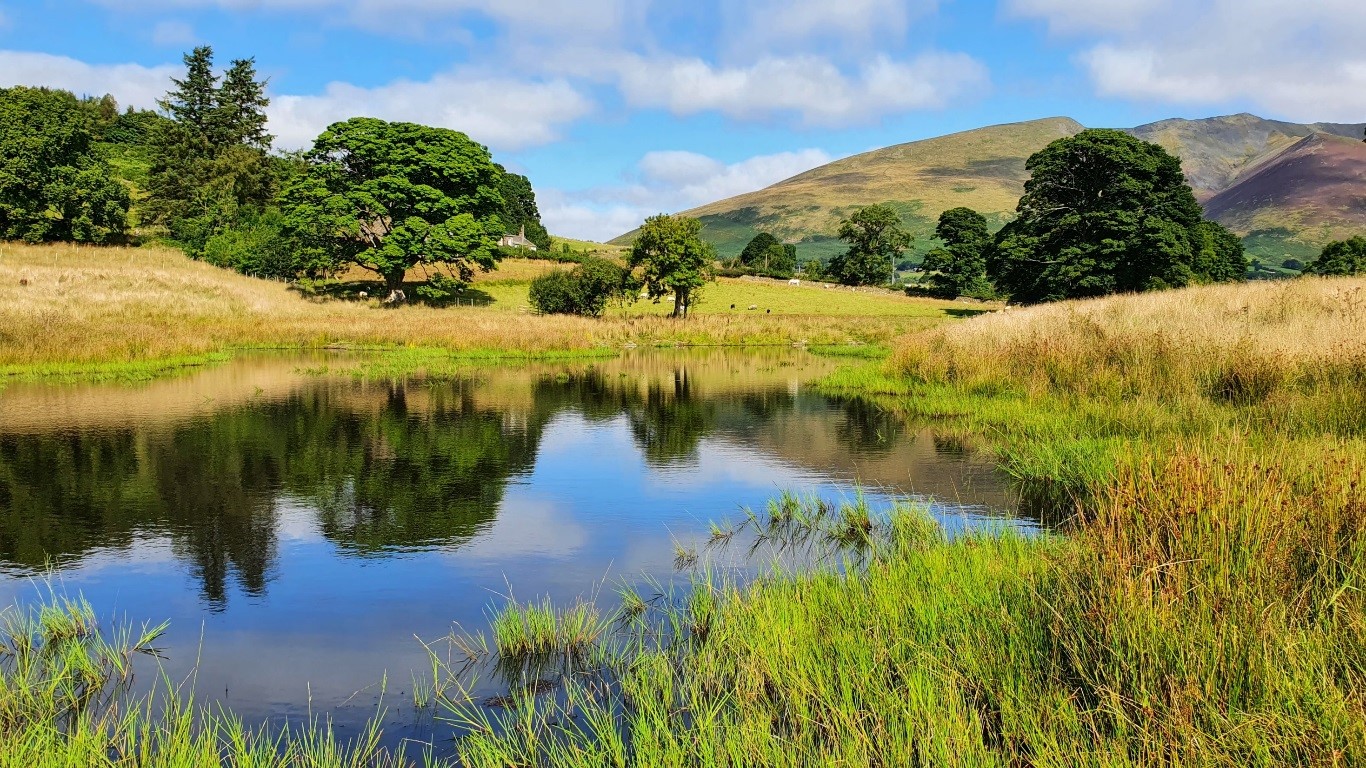 Using the power of nature to increase flood resilience – Creating a ...
