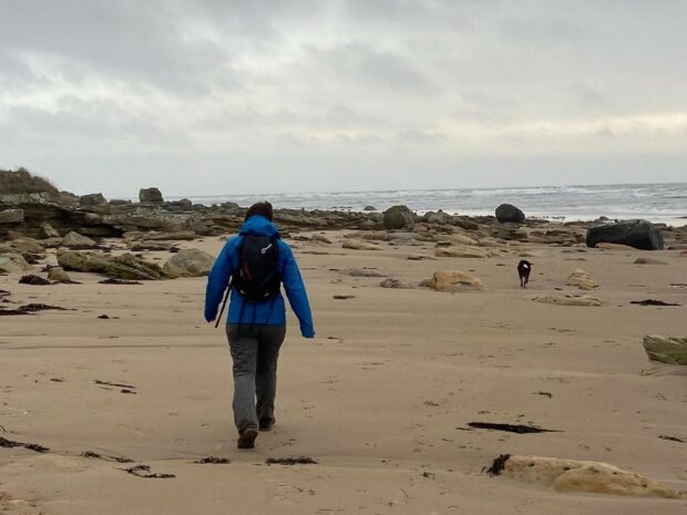 Person walking along beach with dog and sea in background