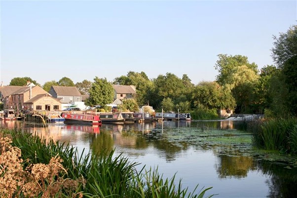 Long reeds sit in the foreground. You can see Canal Mountsorrel behind the reeds, with 5 canal boats moored on it. Behind the canal boats there are some brick buildings.