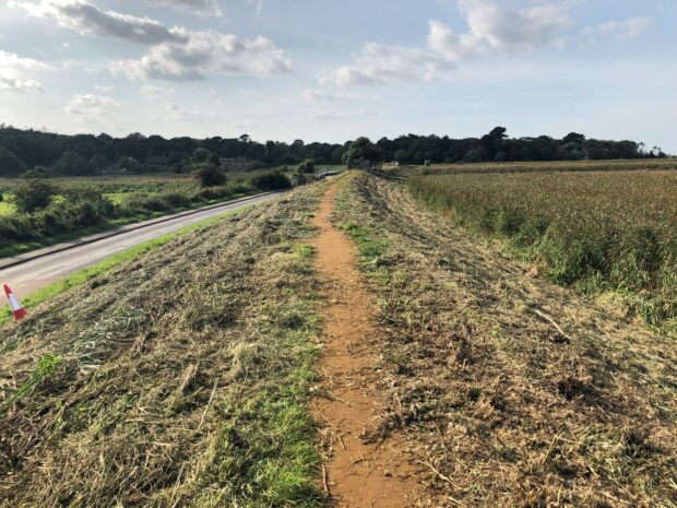 Glaven Outfall Bank after cutting back Alexanders