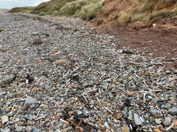 Image of beach