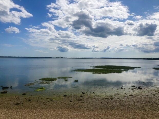 View of saltmarsh looking out to sea in the Solent Seascape Project area