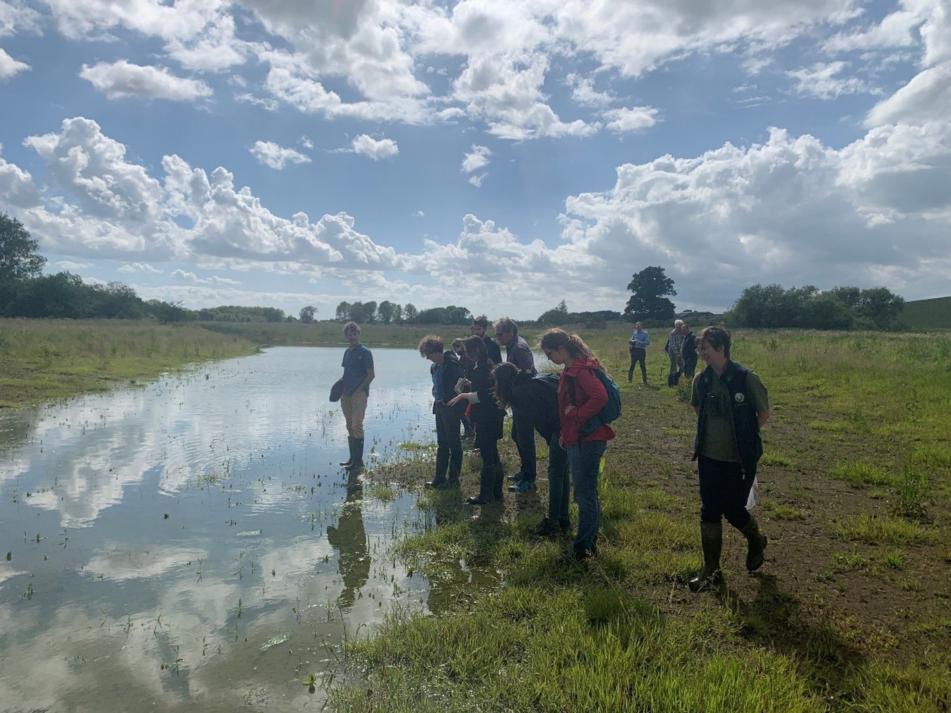 Creating new wetland habitats on the River Thame, Buckinghamshire