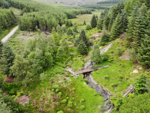 Series of large log and leaky dams at Aiken floodplain in the Cocker catchment in Cumbria