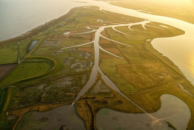 An aerial image of Steart Marshes in Somerset, a Wildfowl and Wetlands Trust managed working wetland