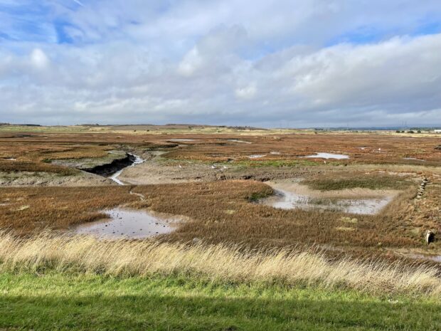 Greatham Managed Realignment, Teeside, - photo showing new saltmarsh habitat created within the Tees Estuary.